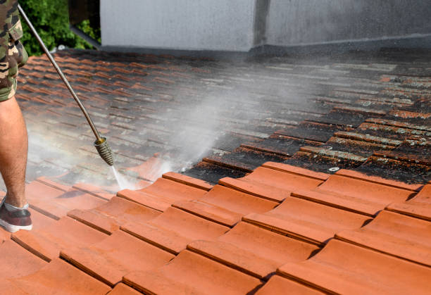 Best House Pressure Washing  in Menlo Park Terrace, NJ