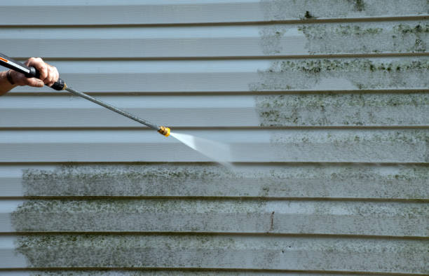 Local Pressure Washing Services